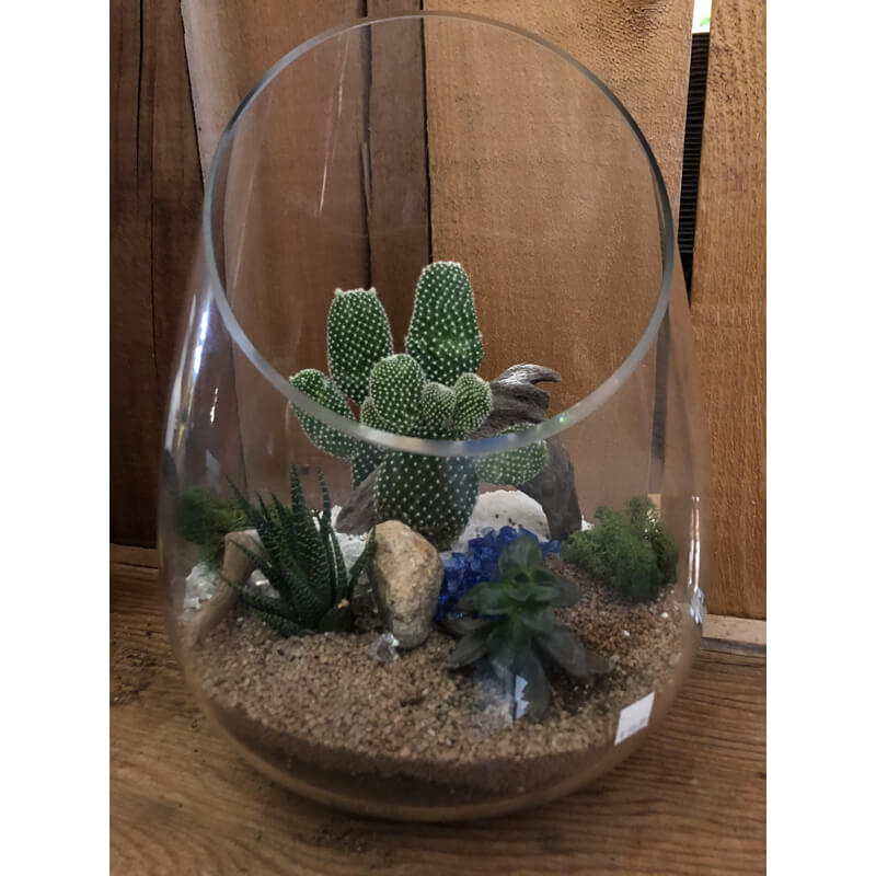 Terrarium avec vase large Nos Produits Plantes et Décor Latour