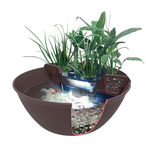 aquascape-kit-mini-bassin-aquagarden-interieur