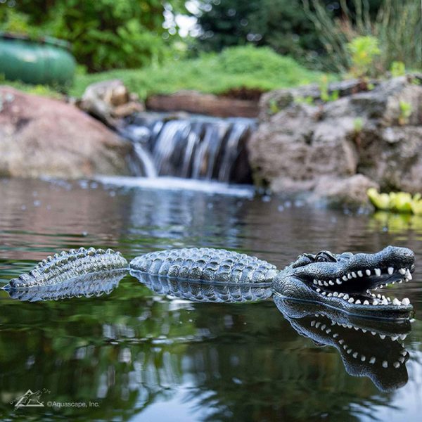 aquascape-leurre-crocodile-flotant-eau