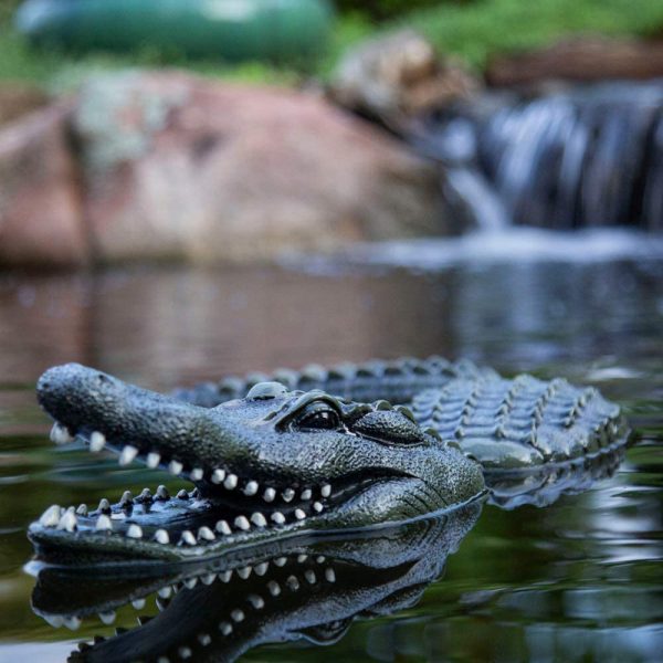 aquascape-leurre-crocodile-flotant-etang