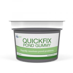 aquascape-quick-fix-pond-gummy