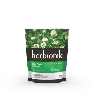 herbionik-trefle-blanc