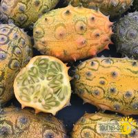 melon-kiwano