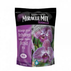miracle-mix-melange-orchidee