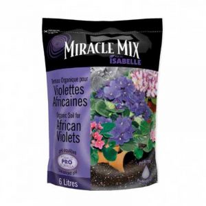 miracle-mix-violette-africaine