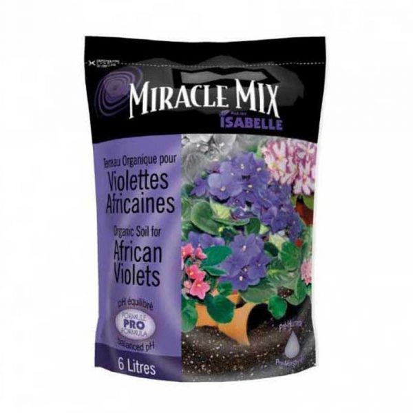 miracle-mix-violette-africaine
