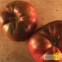 tomates-mauves-cherokee-purple