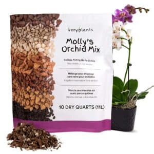 molly-s-orchid-mix-premium-soilless-orchid-potting-mix-veryplants-1