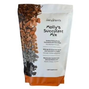 molly-s-succulent-mix-premium-gritty-soilless-potting-mix-for-succulents-cactus-and-bonsai-veryplant