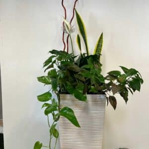 arrangement-funeraire-9